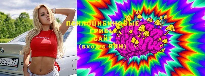 Псилоцибиновые грибы мухоморы Белый